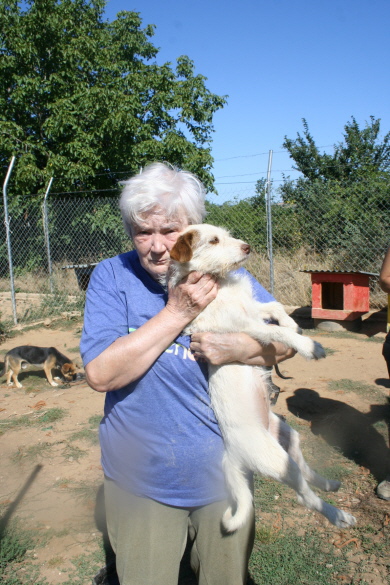 Im Tierheim in Griechenland Juli 2014